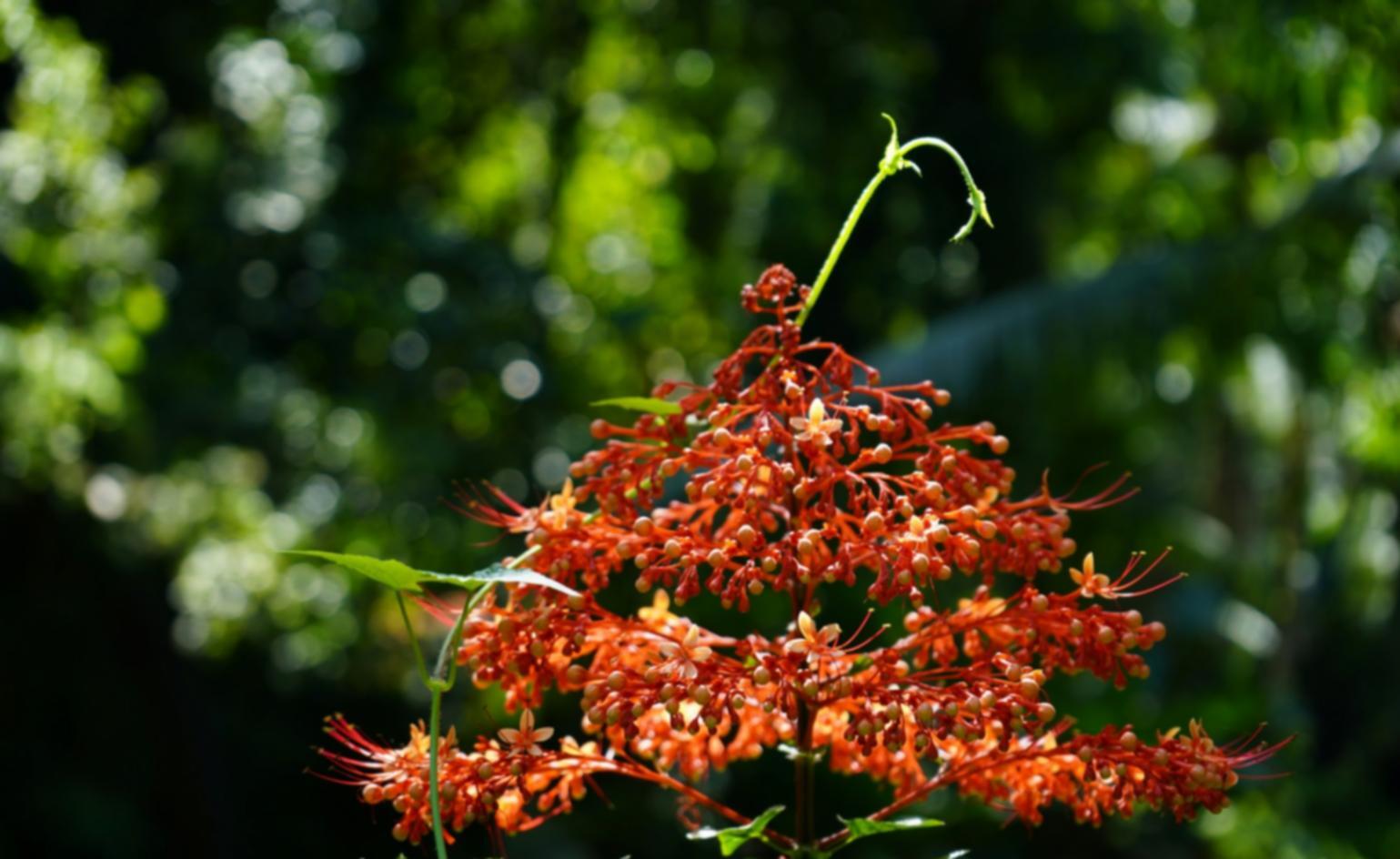 Course quality review process