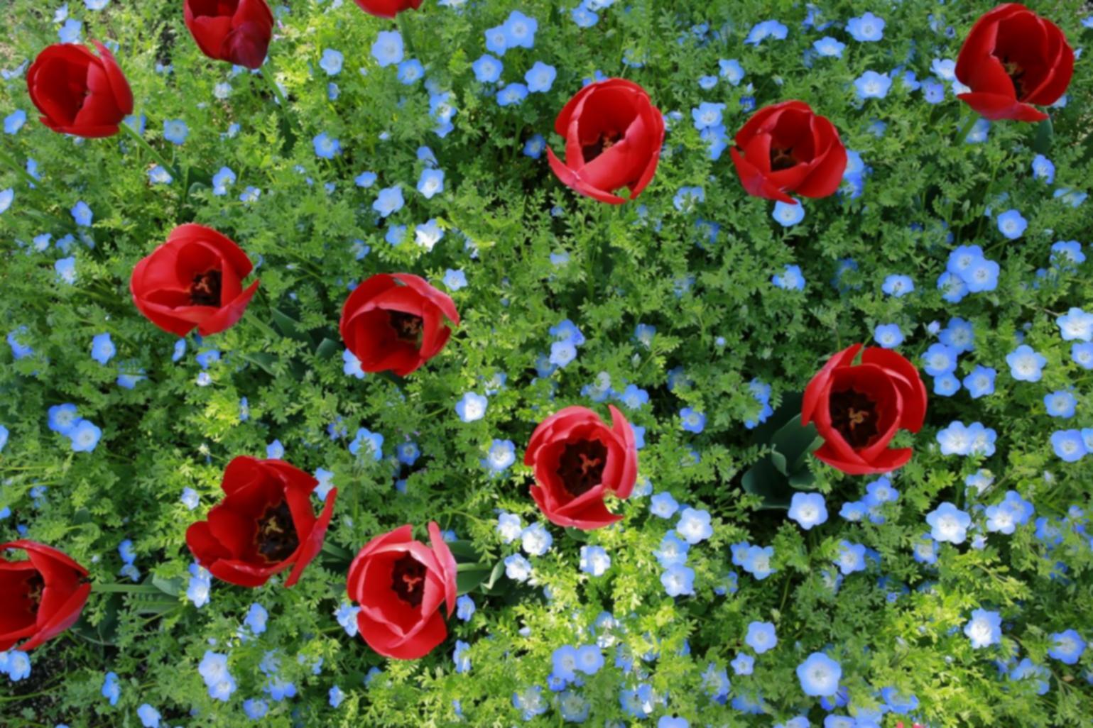 Flower attachment techniques studio